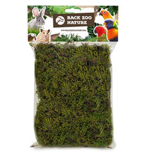 Back Zoo Nature Forest Moss